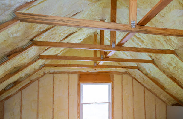 Best Residential Insulation in Hometown, IL